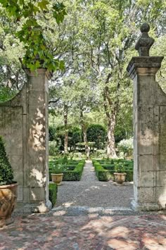 an outdoor garden with stone walls and plants in the center, surrounded by large potted trees