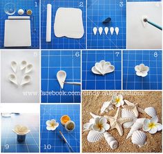 step by step instructions on how to make seashells