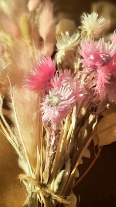 some pink flowers and feathers in a vase