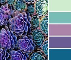 purple and blue succulents are featured in this color scheme