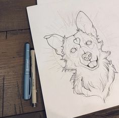 a pencil drawing of a dog's face on paper next to a blue marker