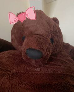 a brown teddy bear with a pink bow on its head