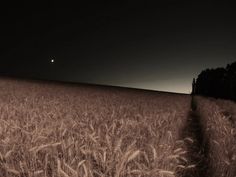 an empty field at night with the moon in the distance