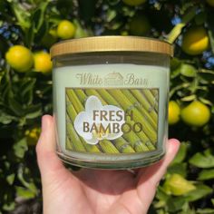 a hand holding a jar of fresh bamboo candle in front of some lemon tree branches