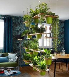 a living room filled with lots of green plants and potted plants hanging from the ceiling