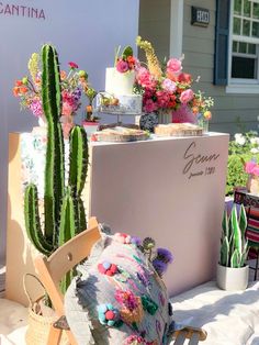 a table topped with a cake next to a cactus and potted plant on top of a wooden chair