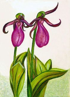 a painting of two purple flowers with green leaves