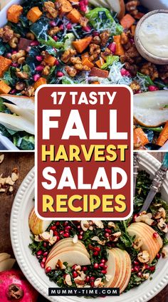 an image of fall harvest salad recipe with apples and other vegetables in the background text overlay reads 17 tasty fall harvest salad recipes