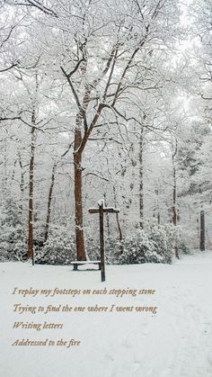 a snow covered park with trees and a poem written on the ground in front of it