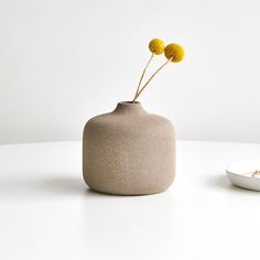 two yellow flowers in a vase on a white table next to a bowl and spoon