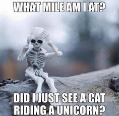 a skeleton sitting on top of a rock with the caption, what mile am i at? did just see a cat riding a unicorn?