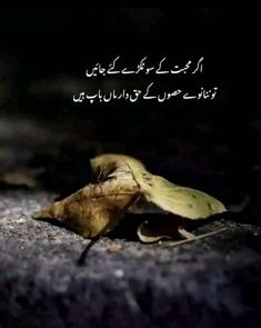 Urdu Quotes, Quran Quotes, Urdu Poetry