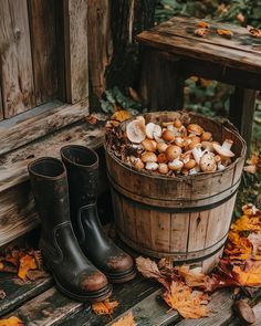 a bucket full of mushrooms sitting next to a pair of boots