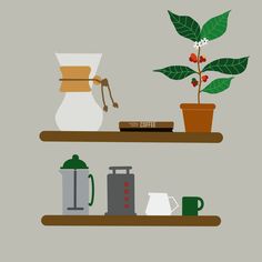 two shelves with coffee and plants on them