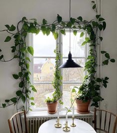 some plants are growing on the window sill in front of a white table and chairs