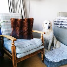 How to Re Use Vintage Fur in your Home - Millie Scott Studio Cuddle Love