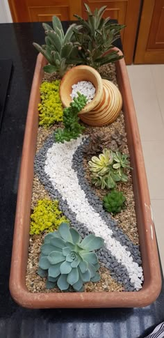 a potted planter filled with succulents and rocks