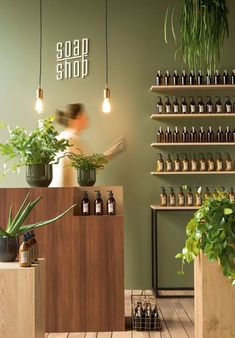 a store with plants and bottles on shelves