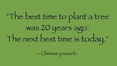 the best time to plant a tree was 20 years ago the next best time is today