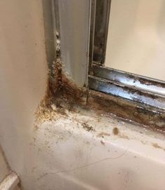 the corner of a bathroom with mold on the walls and in the bathtub next to it