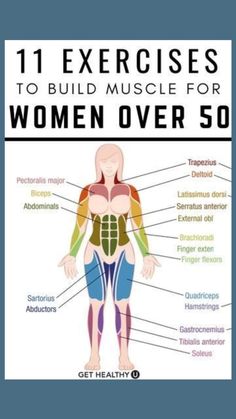 the muscles and their functions are labeled in this diagram, which shows how they work