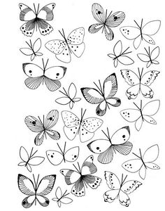 the butterflies are drawn in black and white