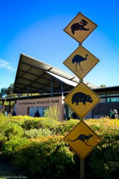 there are many different signs in front of a building that has animals on the side