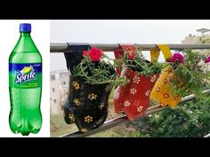 an image of flowers in vases hanging from a window sill next to a bottle of sprite water