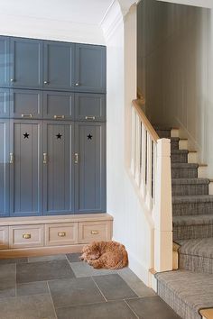 a dog is laying on the floor in front of some blue cupboards and stairs