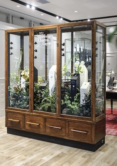 a display case filled with lots of plants in a room next to a red rug