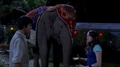 two people standing next to an elephant in the dark