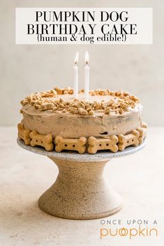 a birthday cake with dog bones on it