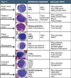 an image of different types of blood