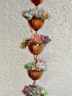 Copper Rain Chain Planted With Succulents. Trailing Succulents Outdoor, Rain Chains, Decorating With Plants Indoors, Copper Wire For Plants, Watch Chain Succulent Care, Cooper Rain Chain, Copper Hanging Planter, Rain Chain Diy, Copper Rain Chains