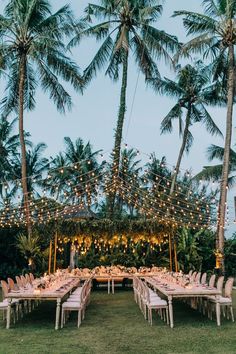 an outdoor dining area with palm trees and string lights