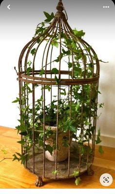 a birdcage filled with plants sitting on top of a wooden table