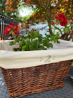 a wicker basket with red flowers in it