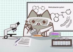 a cartoon cat wearing glasses and holding a microscope in front of a whiteboard with chemical symbols on it