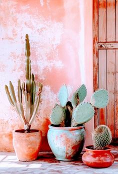 three different types of cactus in pots on a table next to an old door and window