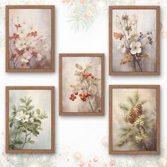 four framed pictures with flowers and pine cones on them, all hanging up against a wall