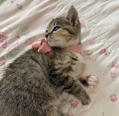 a small kitten wearing a pink bow tie laying on top of a white bed sheet