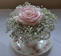 a pink rose sits in a teacup with baby's breath on the saucer