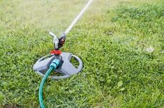 a sprinkler is attached to a hose in the middle of some grass