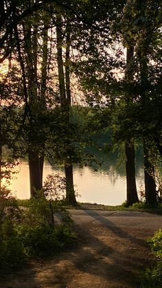 a bench sitting on the side of a road next to trees and water at sunset