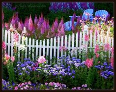 a white picket fence surrounded by lots of flowers and purple plants in the foreground