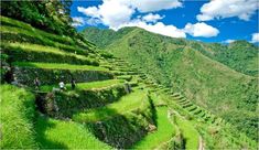 an image of a mountain side with grass growing on it