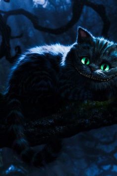 a black cat with glowing green eyes sitting on a tree branch in the dark forest