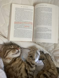 a cat laying on top of a bed next to an open book