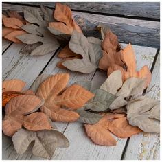 some leaves that are laying on the ground