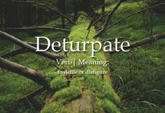 the cover of deturpate verbi meaning, to describe or distruct